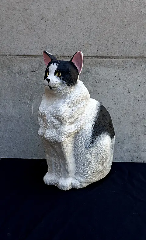Memorial Mascota Gato