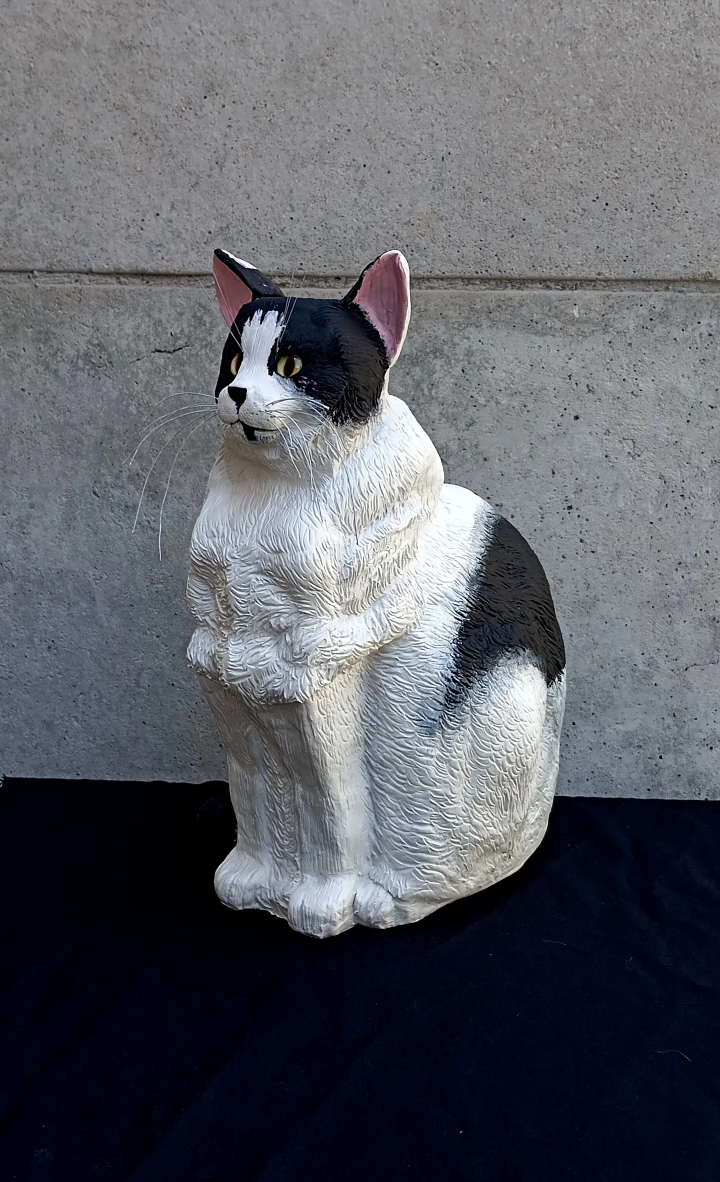 Memorial Mascota Gato 1