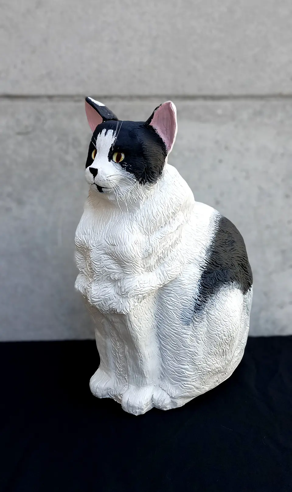 Memorial Mascota Gato 5