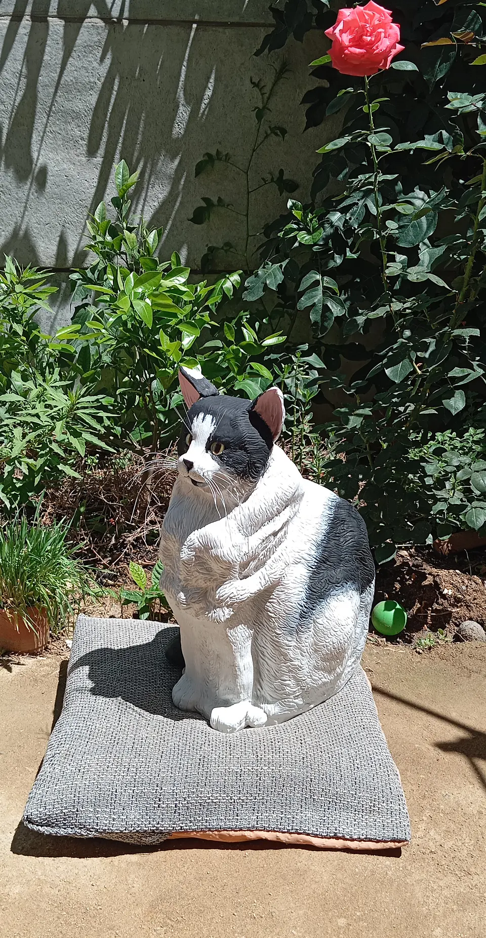 Memorial Mascota Gato 6