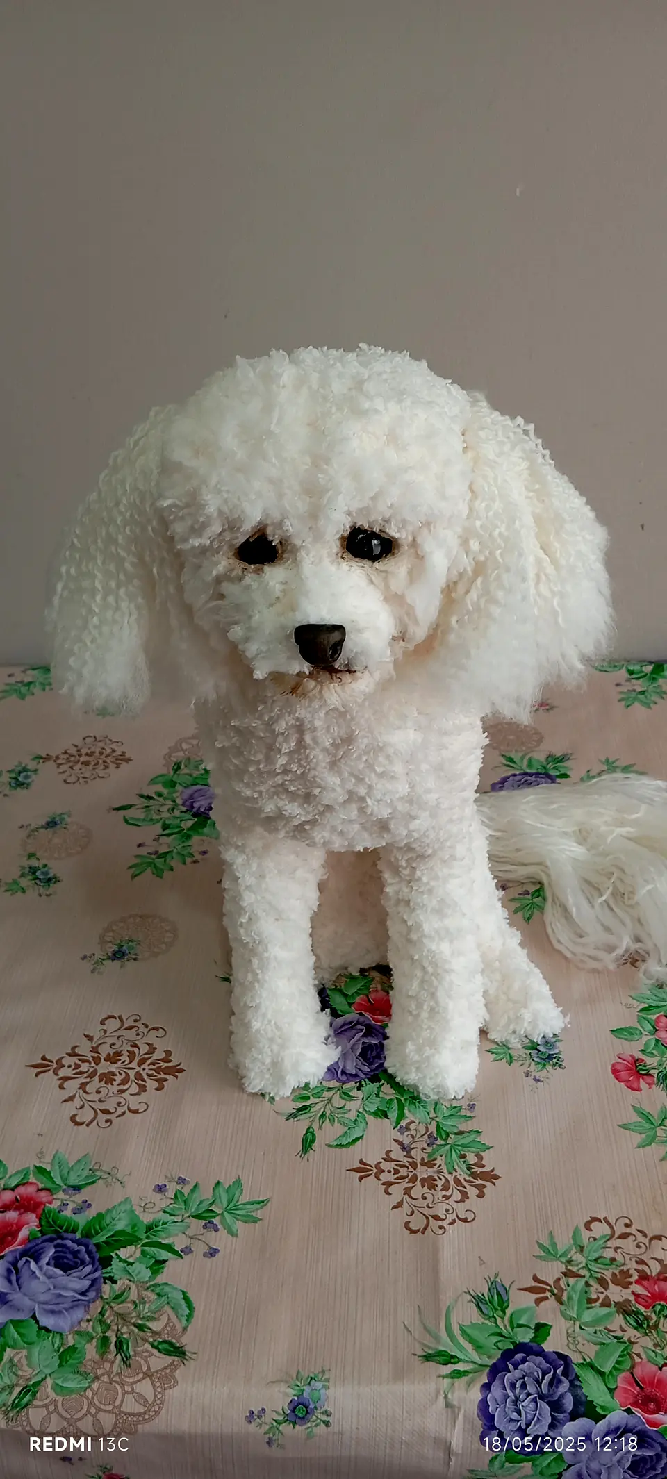 Memorial Mascota Puddle toy 4
