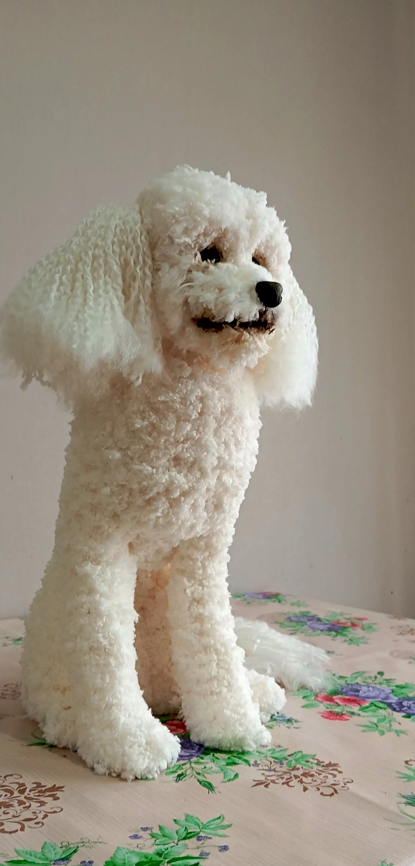 Memorial Mascota Puddle toy 3