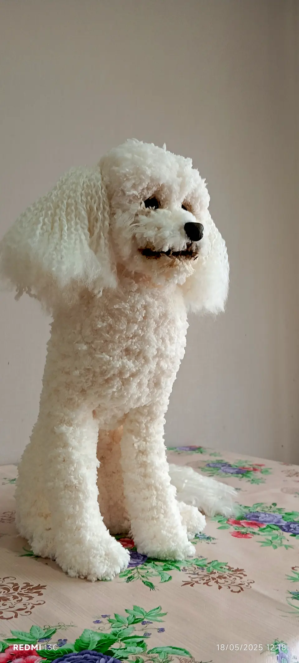 Memorial Mascota Puddle toy 3