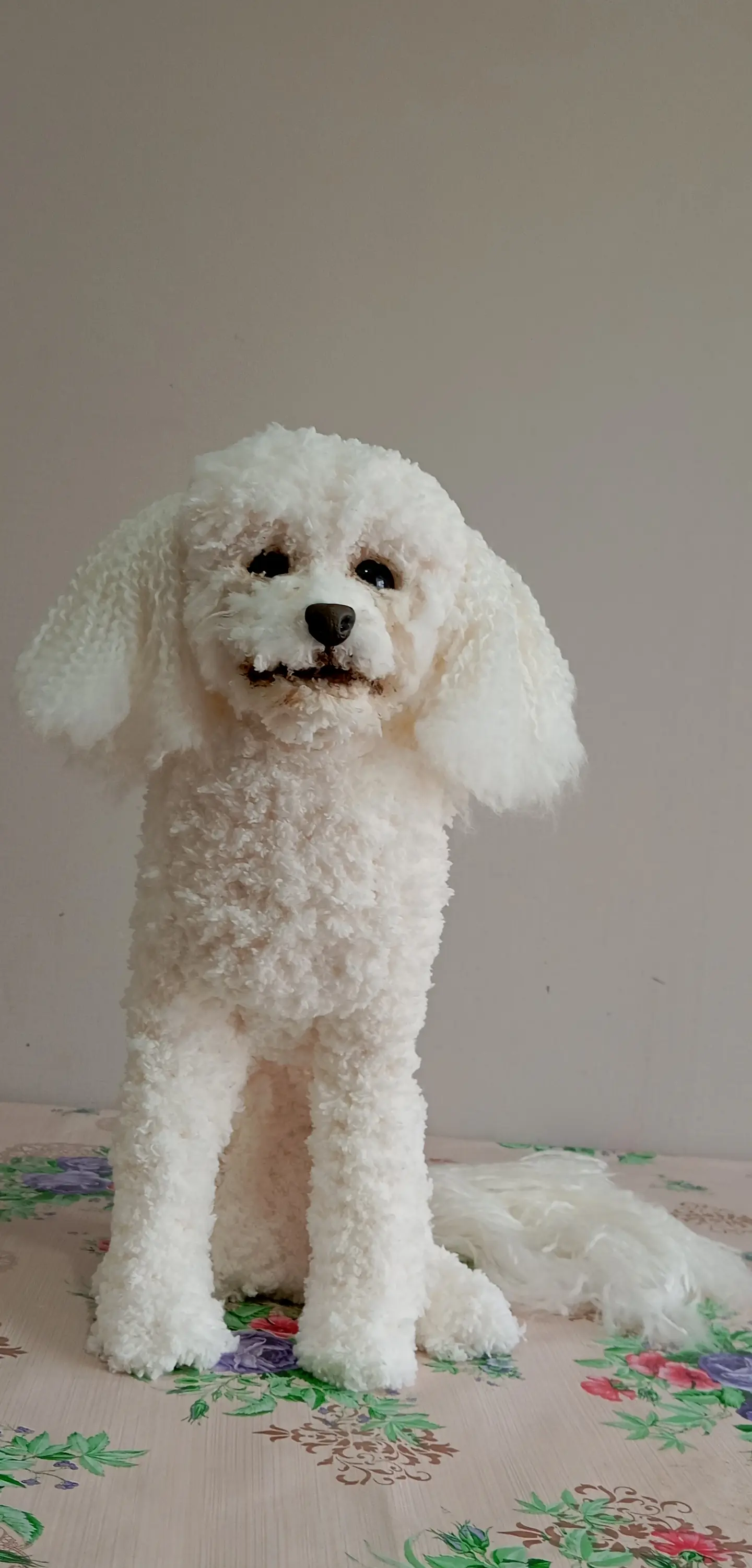 Memorial Mascota Puddle toy 5