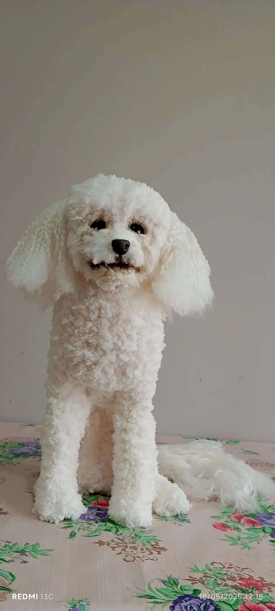 Memorial Mascota Puddle toy 5