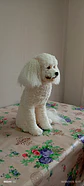 Memorial Mascota Puddle toy - Miniatura 6