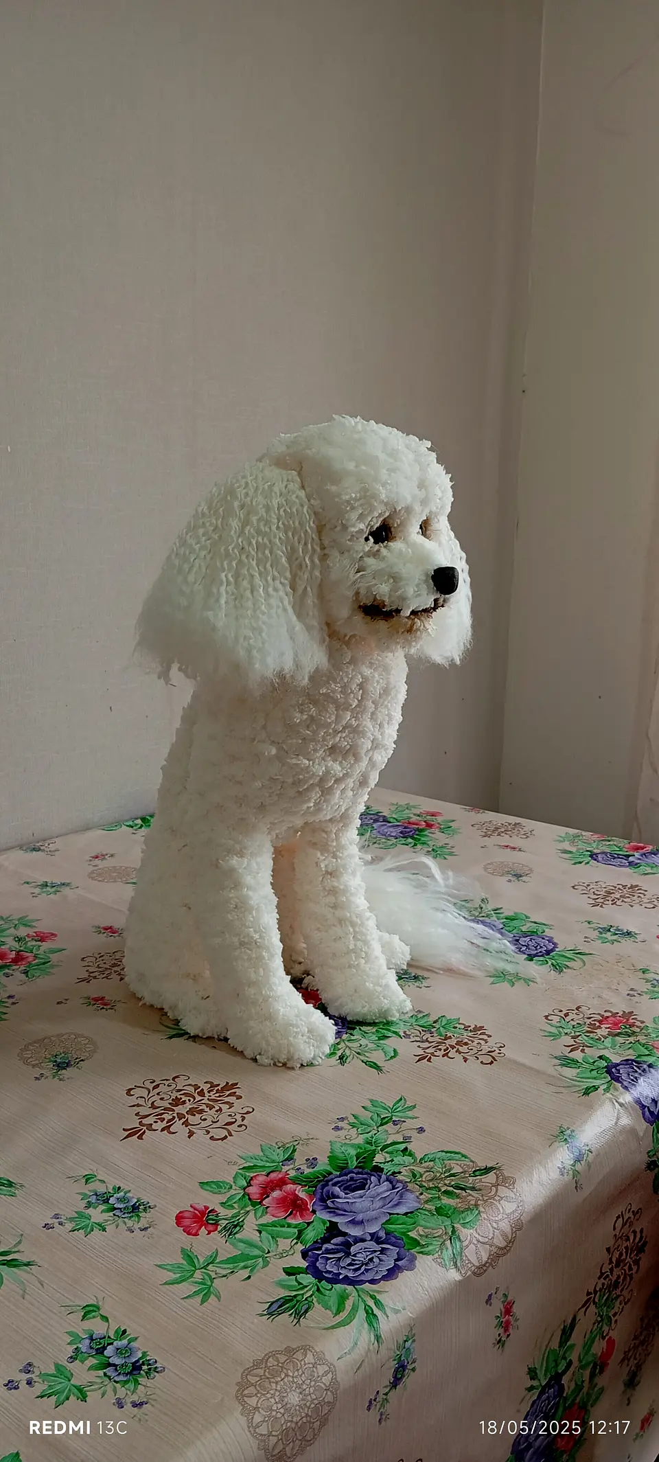 Memorial Mascota Puddle toy 6