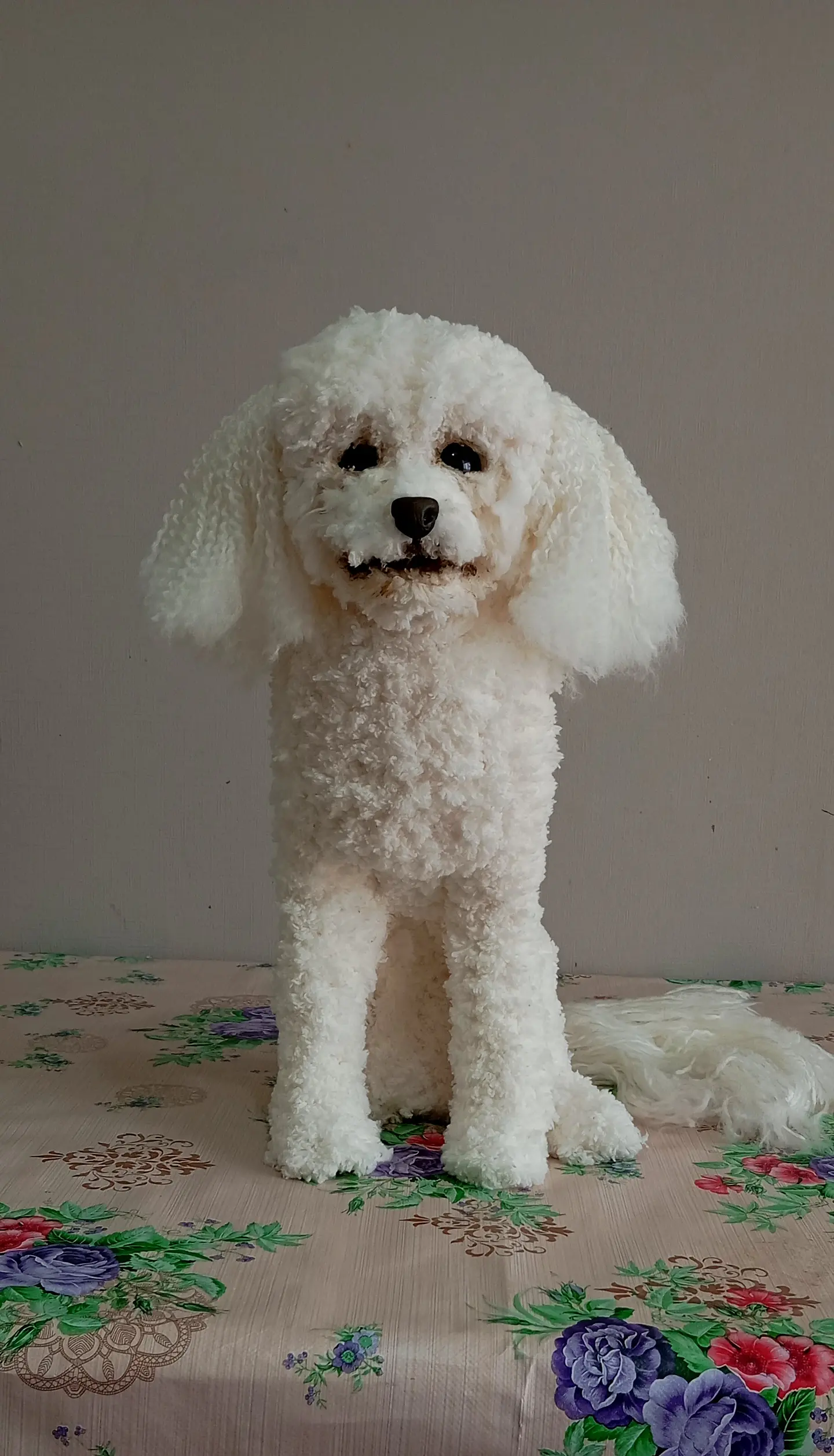 Memorial Mascota Puddle toy 1