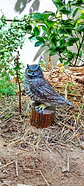búho tucuquere escultura personalizada - Miniatura 1