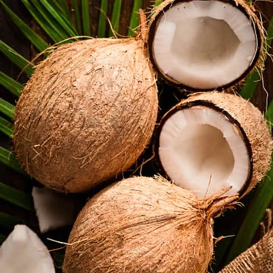 Velas Soya Coco 1