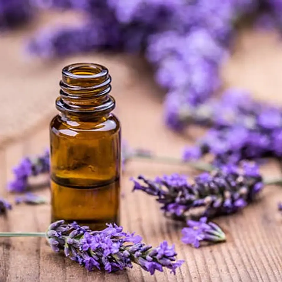 Velas Soya Lavanda 1