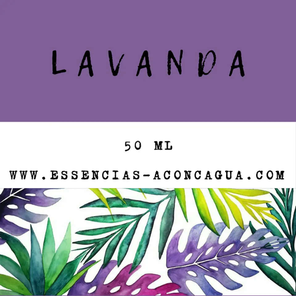 Mikado Lavanda Tilo 2