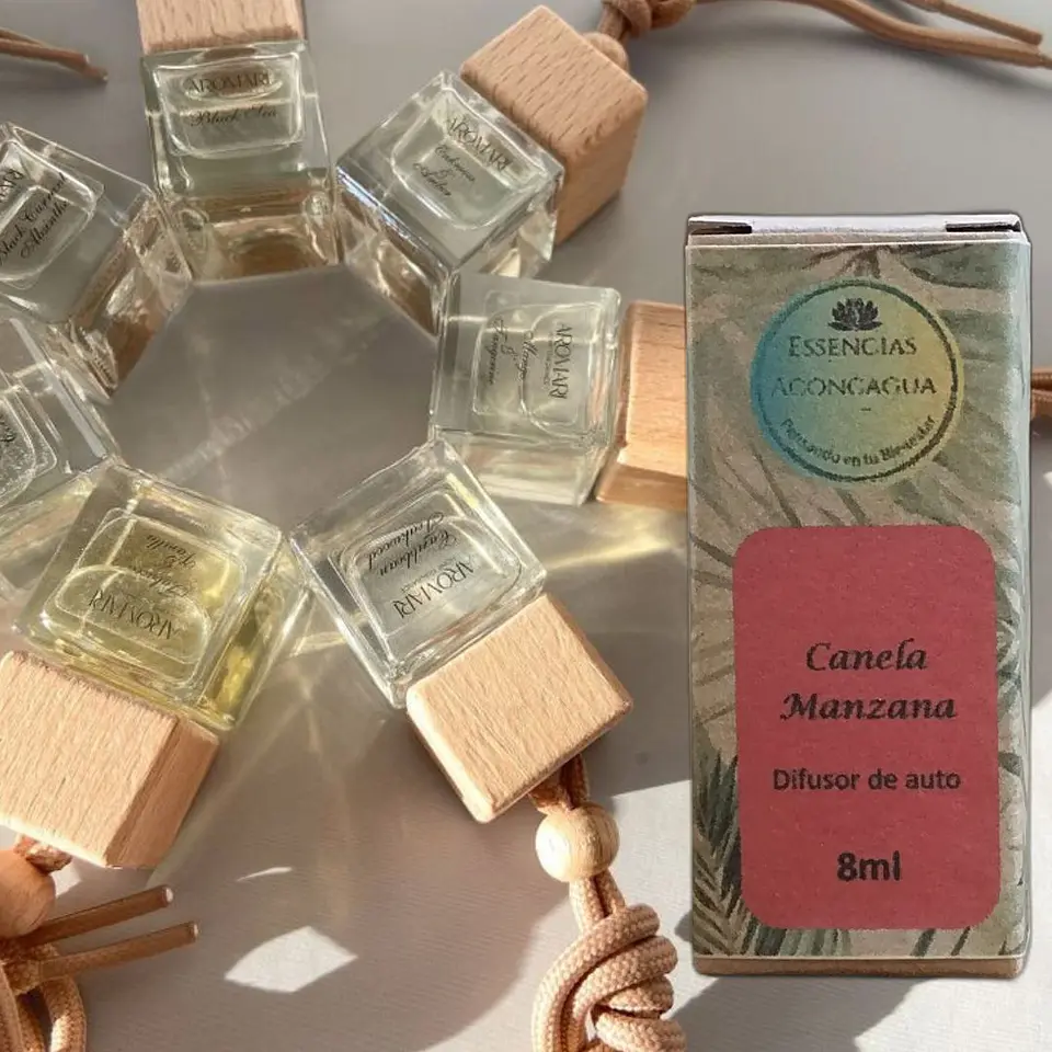 Difusor Auto Canela Manzana 1