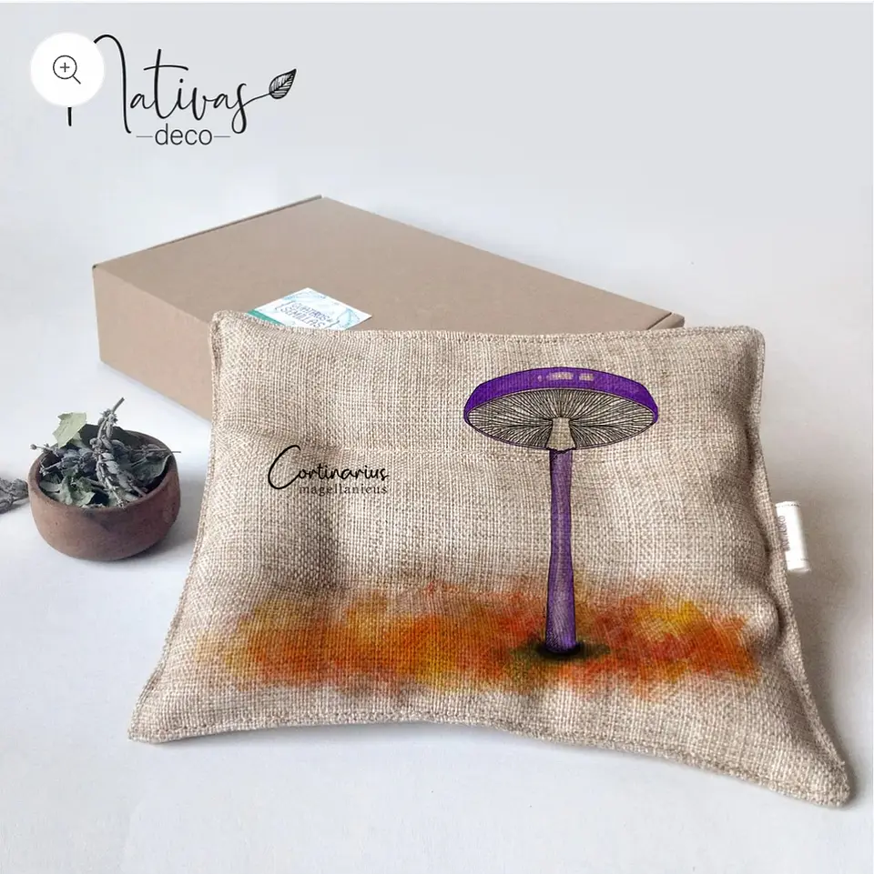 Guateros de semillas FUNGI / CORTINARIUS  1