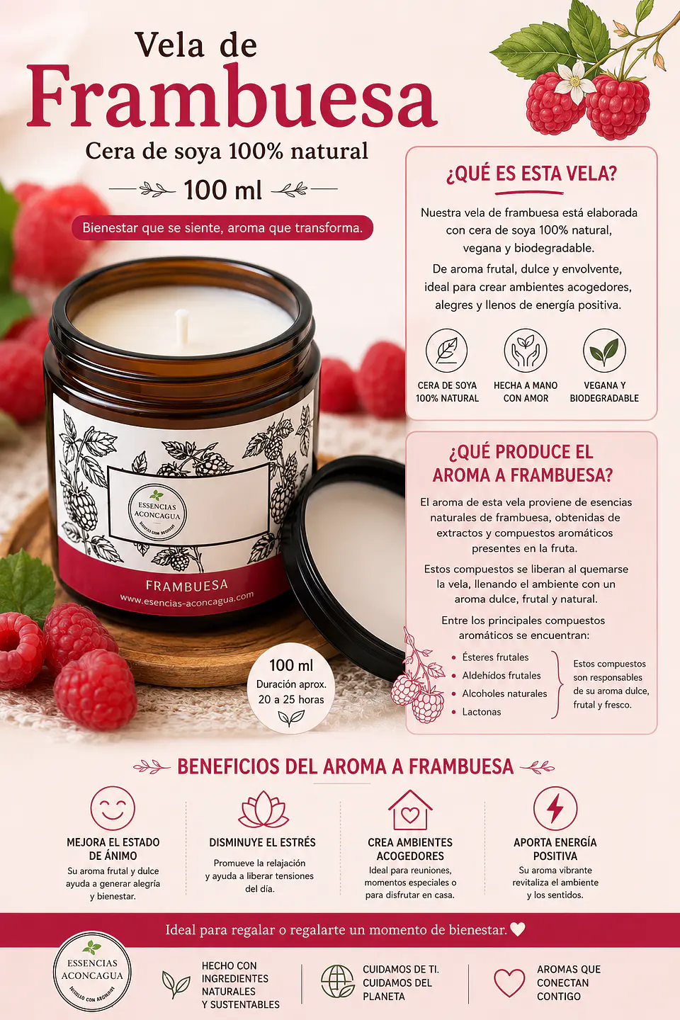 Vela de Soya Frambuesa  1