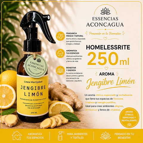 Jengibre Limon  250ml