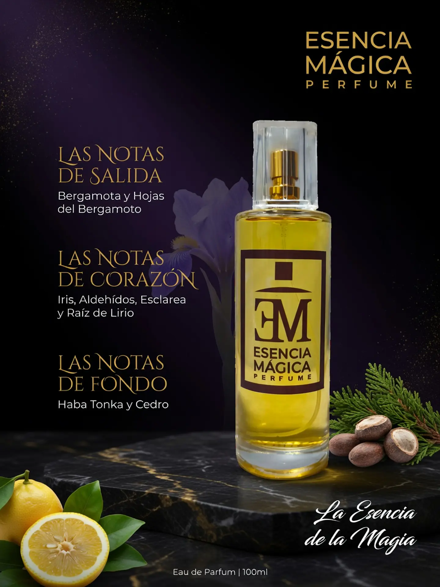 Inspiracion Armani Code 1