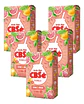 Yerba Mate Cbsé Pomelo Pack 5x4 500g - Miniatura 3