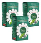 Yerba Mate Verdeflor Peperina Pack 3x2 500g - Miniatura 3