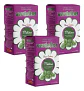 Yerba Mate Verdeflor Melisa 500g - Miniatura 1