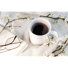 Café Orgánico Instantáneo liofilizado 90gr Native 3