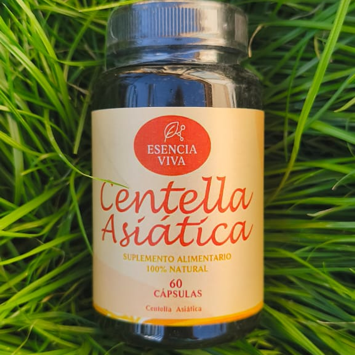 Centella asiática 1
