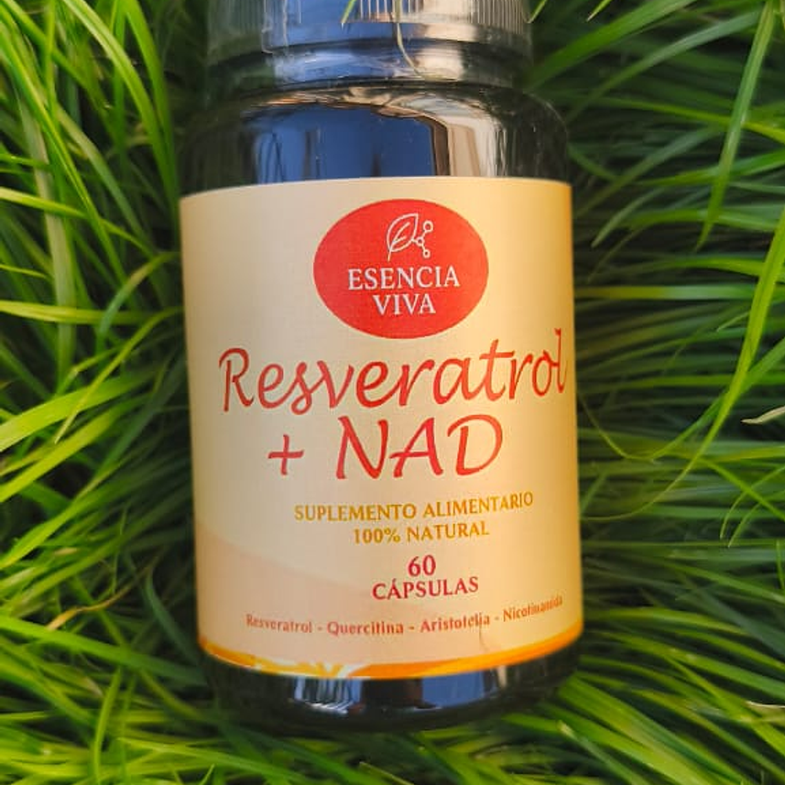Resveratrol + Nad 1