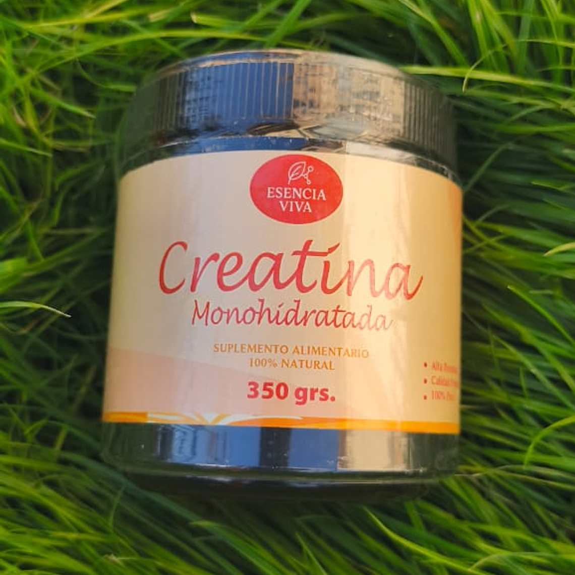 Creatina 1