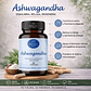 Ashwagandha 500mg 60 cápsulas - Miniatura 3
