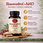 Resveratrol + NAD 500 mg 60 Cápsulas - Miniatura 3