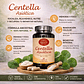 Centella Asiática 500mg 60 Cápsulas  - Miniatura 3