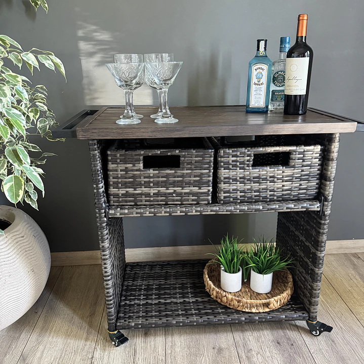 CARRO BAR PREMIUM 3