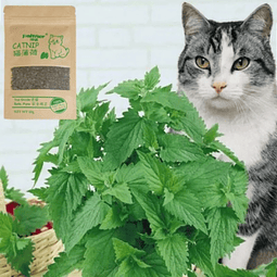 Catnip 10 grs.