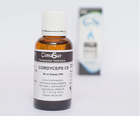 Cordyceps Cs