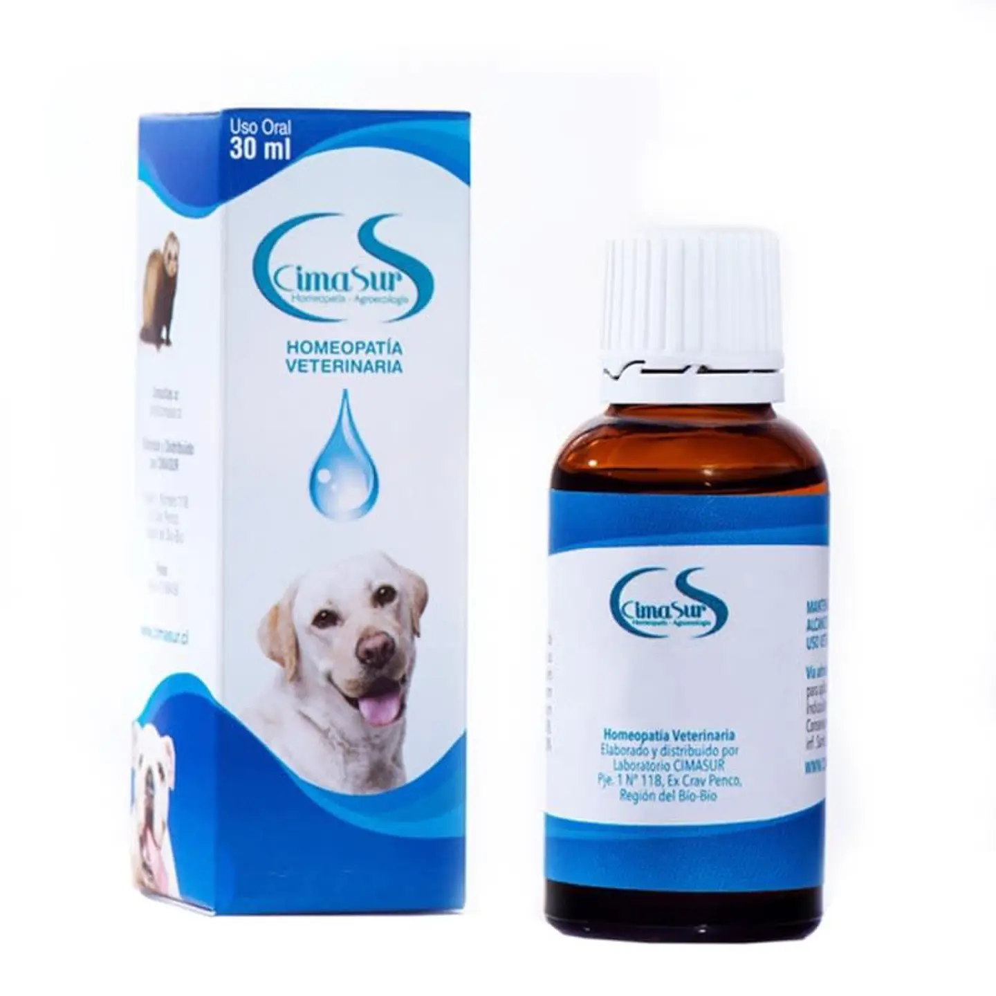 Cineraria Cs 1