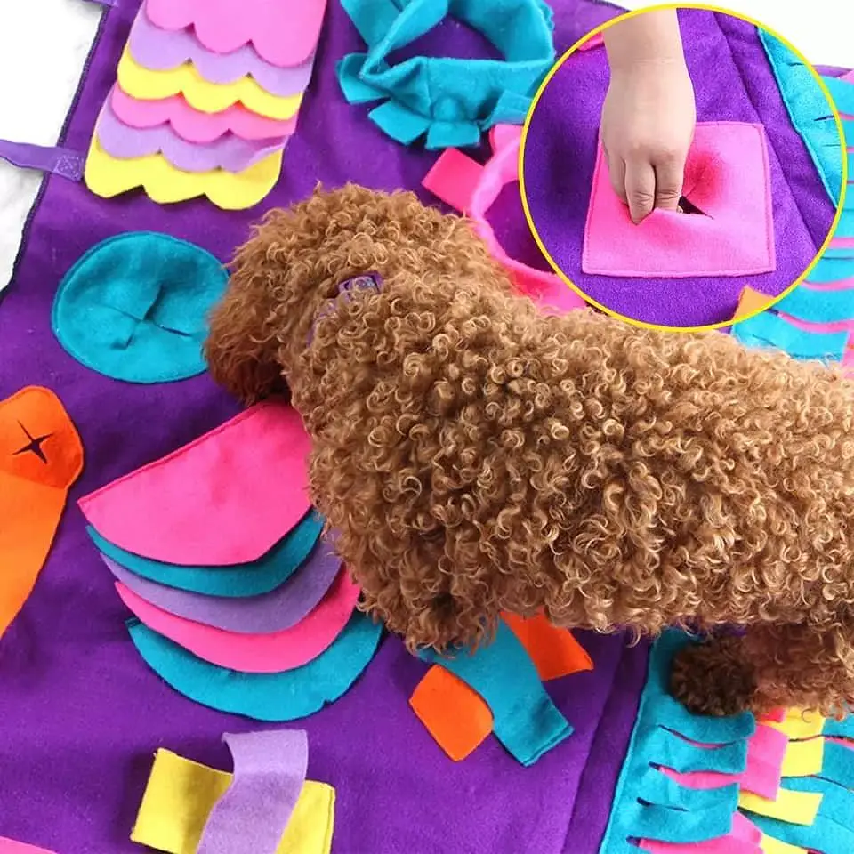 Alfombra olfativa para perros 1