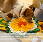 Alfombra olfativa para perros - Miniatura 9