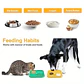 Mat de alimentación lenta para perros y gatos - Miniatura 4