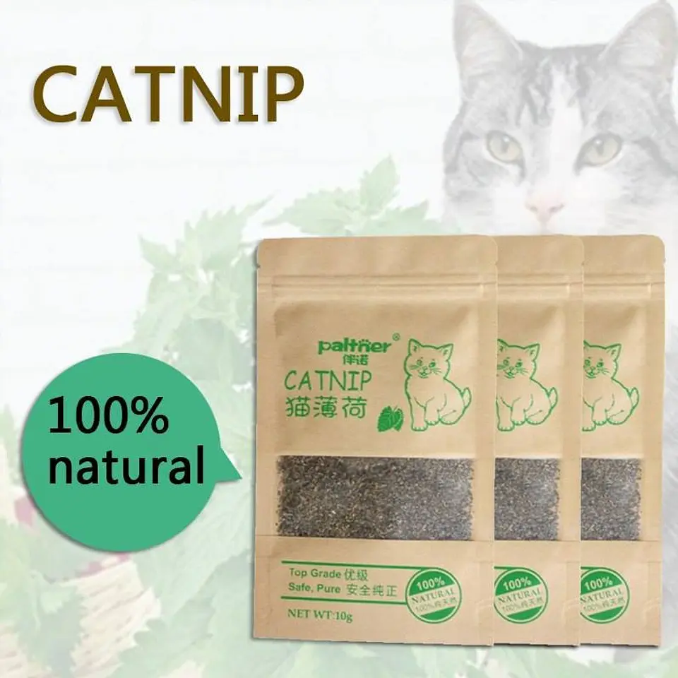 Catnip Hierba Gatera  1