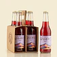 SIXPACK - KOMBUCHA CHICHA DE ALTURA BT 350ML - Miniatura 2