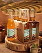 SIXPACK - KOMBUCHA COCA ANCESTRAL BT 350ML - Miniatura 3