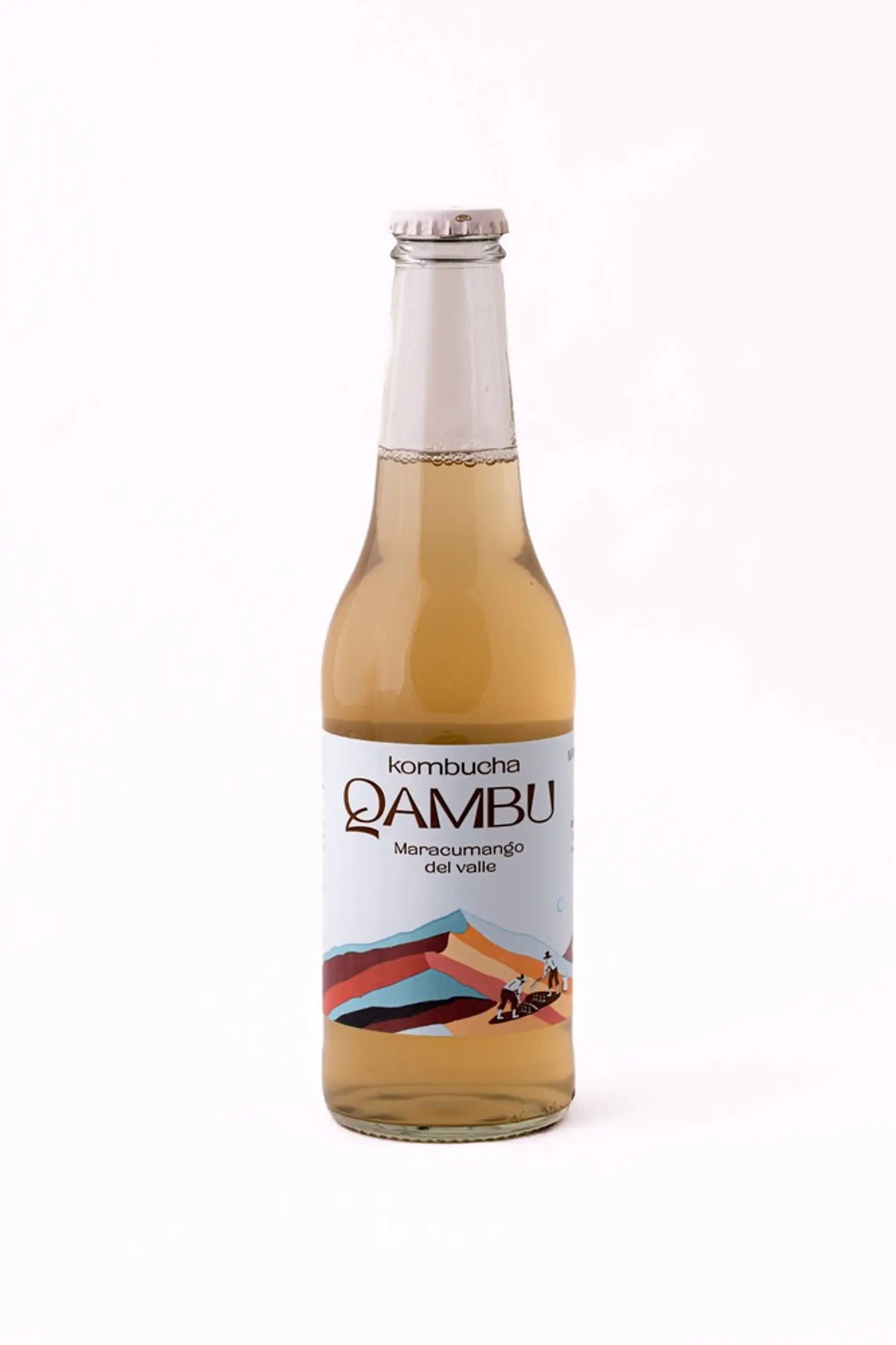 SIXPACK - KOMBUCHA MARACUMANGO DEL VALLE BT 350ML 1