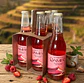 SIXPACK - KOMBUCHA FRUTOS ROJOS DEL CAMPO BT 350ML - Miniatura 3