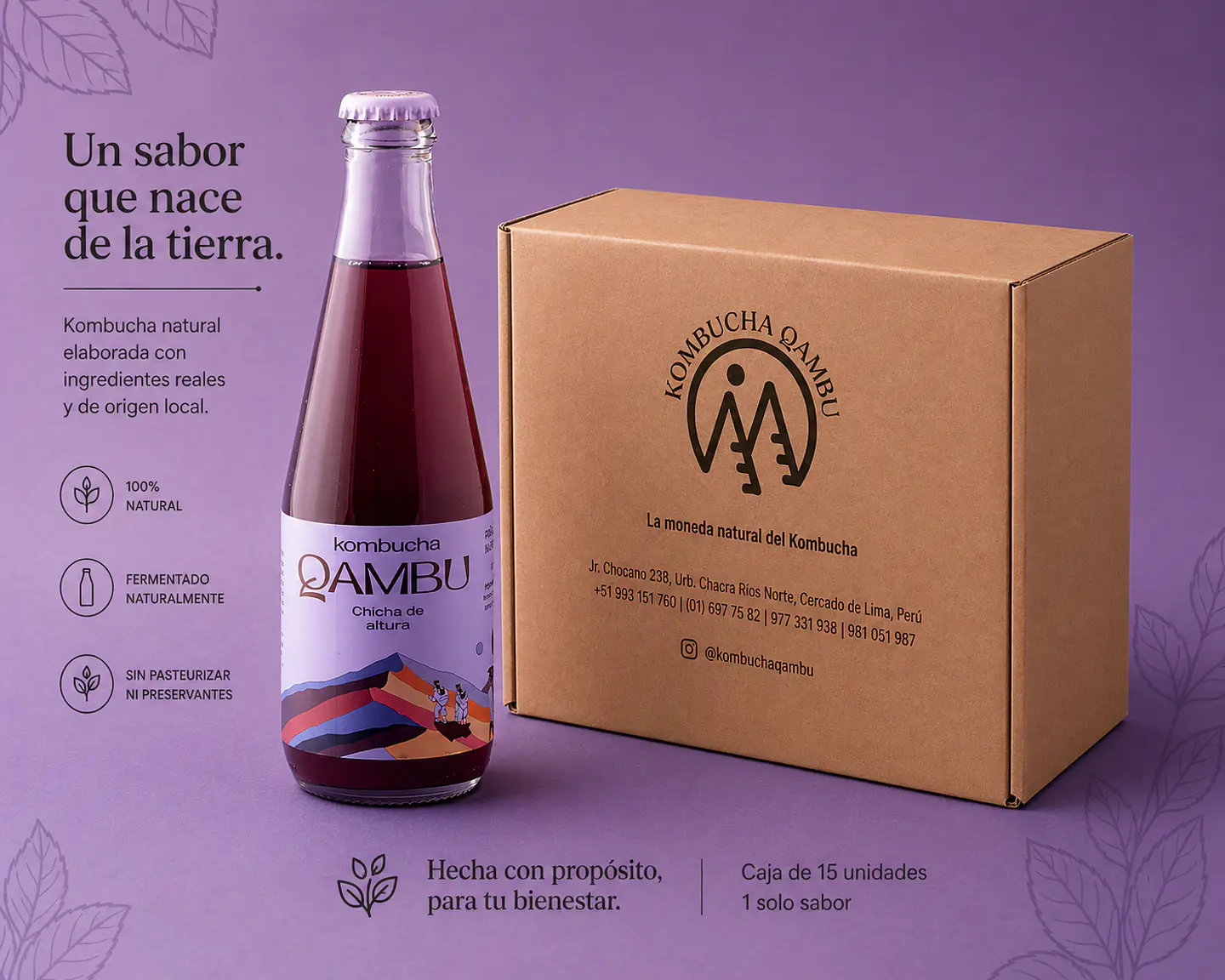 CAJA x15un - KOMBUCHA CHICHA DE ALTURA BT 350ML 1
