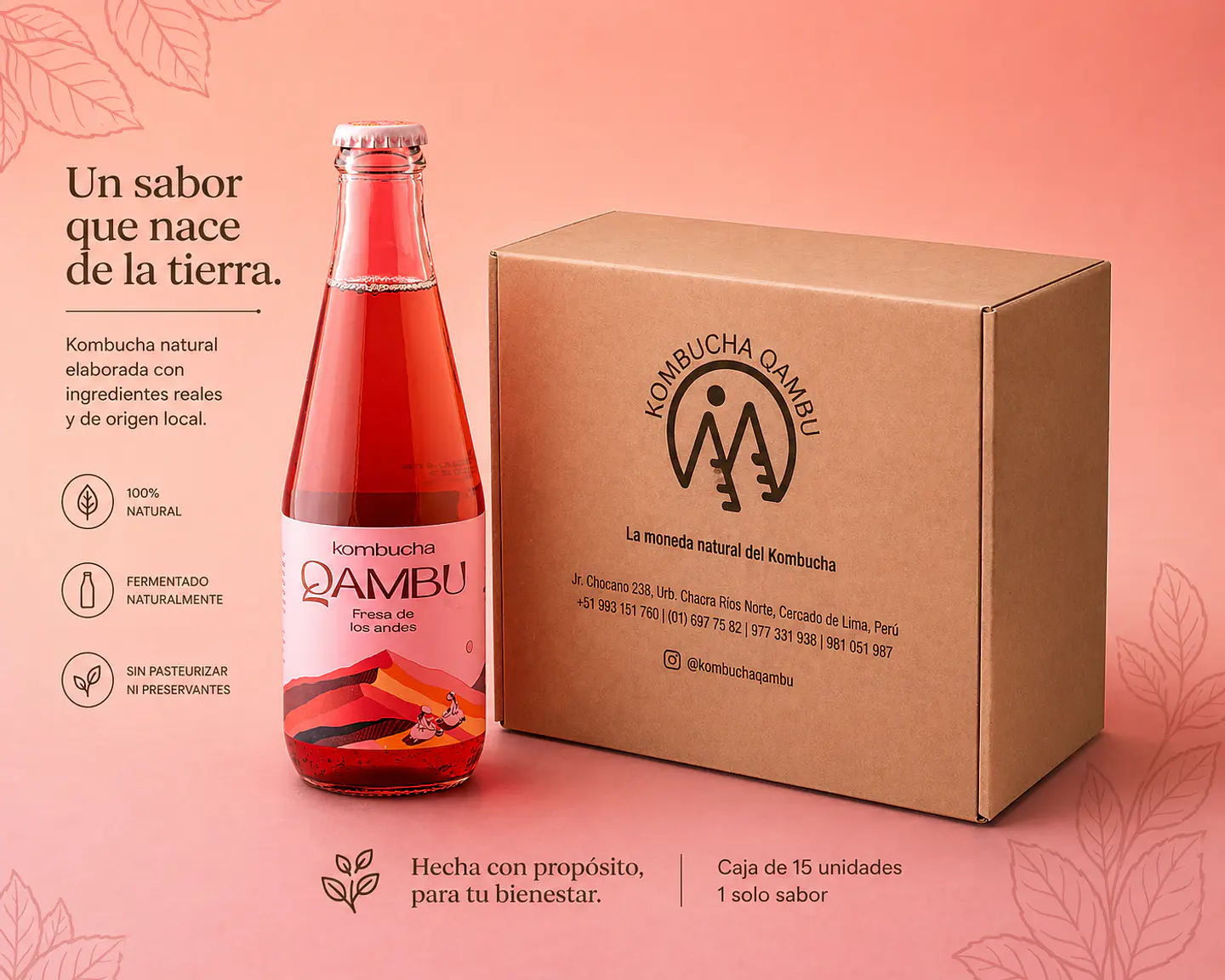 CAJA x15un - KOMBUCHA FRESA DE LOS ANDES BT 350ML 1