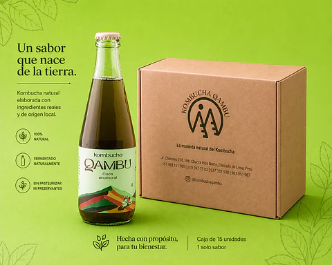 CAJA x15un - KOMBUCHA COCA ANCESTRAL BT 350ML