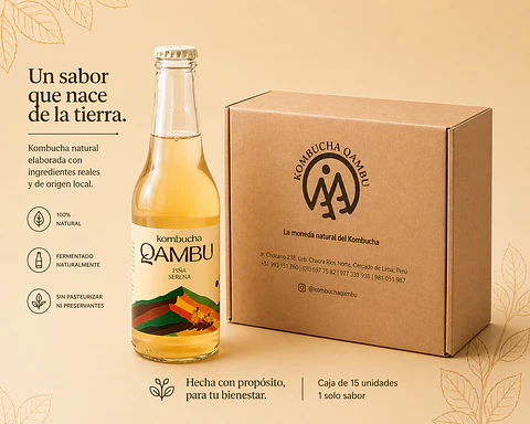 CAJA x15un - KOMBUCHA PIÑA SERENA BT 350ML