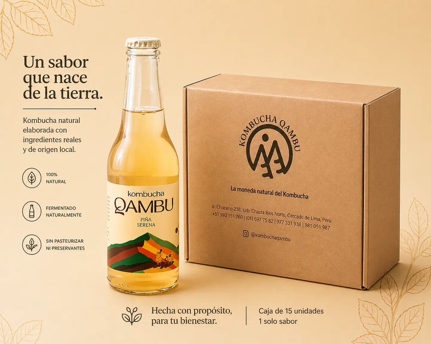 CAJA x15un - KOMBUCHA PIÑA SERENA BT 350ML 1