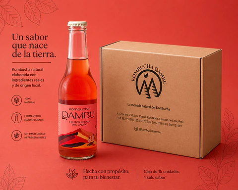 CAJA x15un - KOMBUCHA FRUTOS ROJOS DEL CAMPO BT 350ML