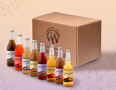 CAJA x15un - KOMBUCHA MIXTO BT 350ML